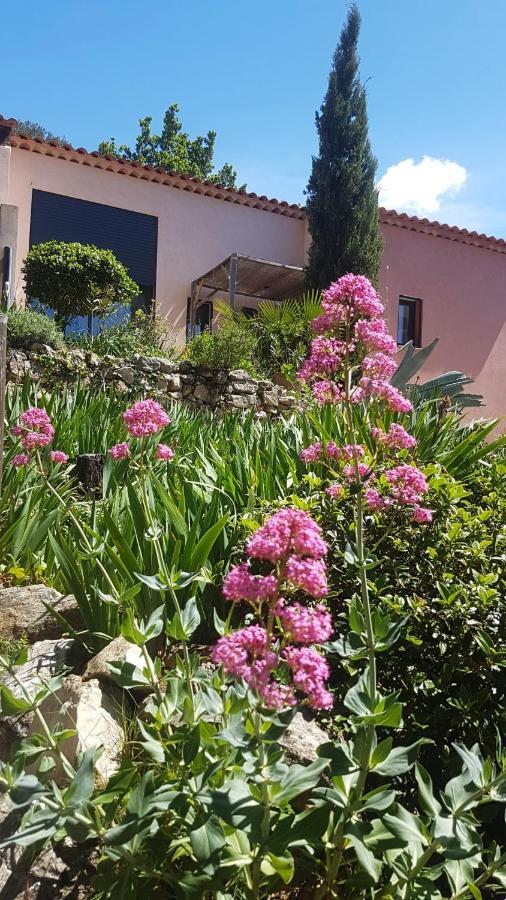 Villa Bastide Cigaline Le Beausset Exterior foto